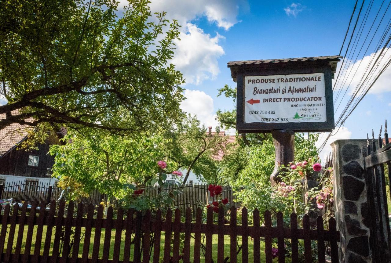 Bradutul de la Munte Villa Bran  Exterior foto