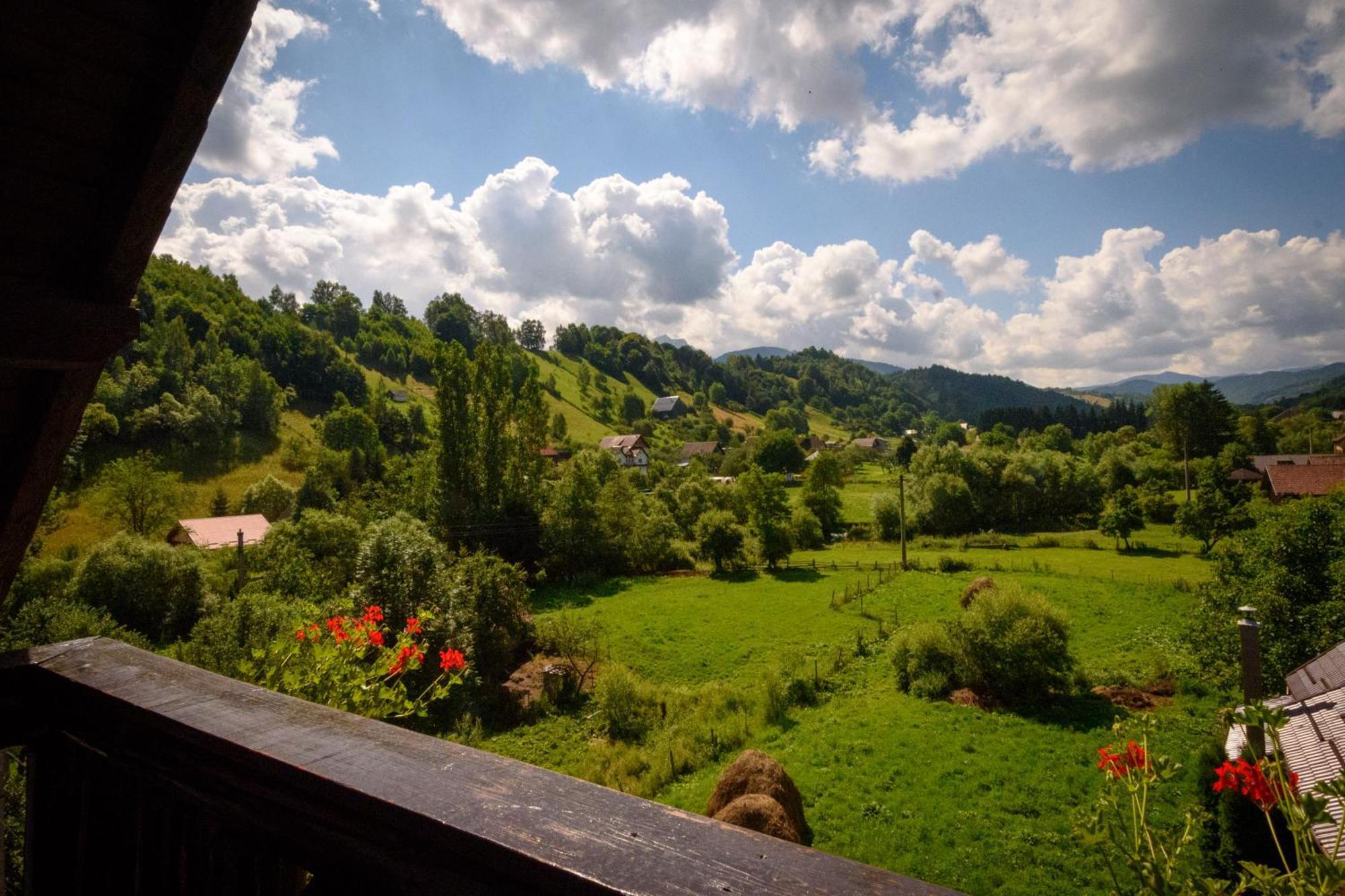 Bradutul de la Munte Villa Bran  Exterior foto