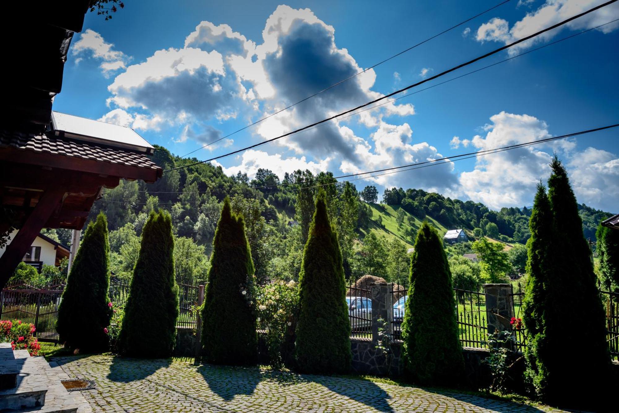 Bradutul de la Munte Villa Bran  Exterior foto